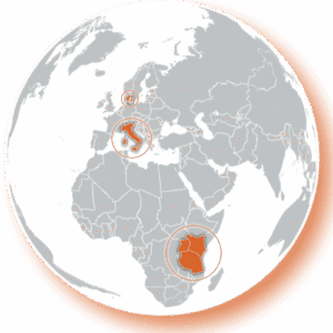 network nimax worldwide